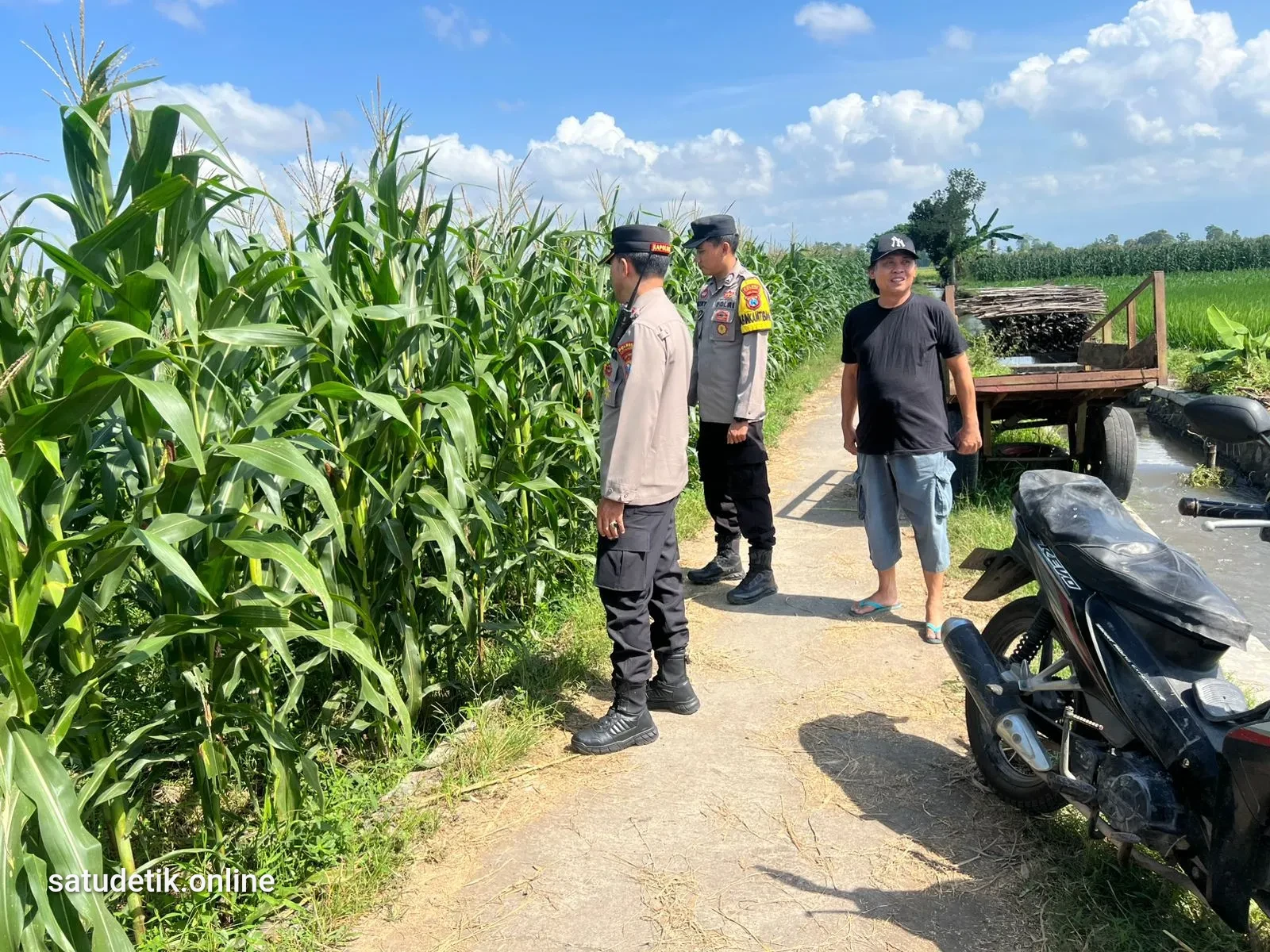 Polsek Lumajang Kota Turun ke Sawah, Dampingi Petani Wujudkan Swasembada Pangan