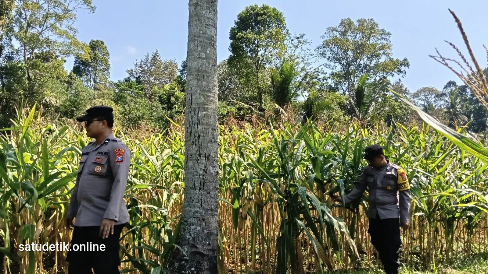 Dukung Asta Cita Presiden, Polsek Randuagung Cek Lahan Jagung Warga