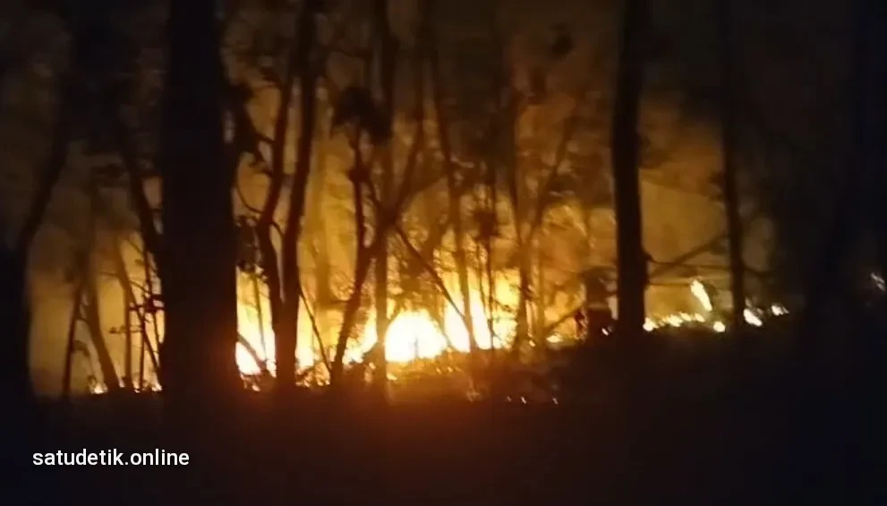 Kebakaran Lahan Bambu di Ponorogo Bikin Panik Warga, Api Nyaris Jangkau Permukiman