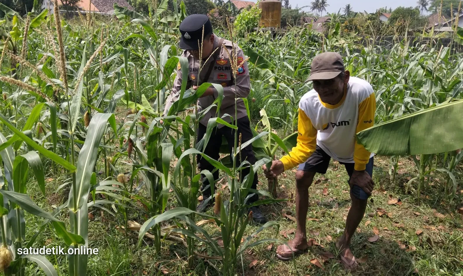 Polsek Jatiroto Cek Lahan Jagung Warga, Pastikan Ketahanan Pangan Tetap Berjalan