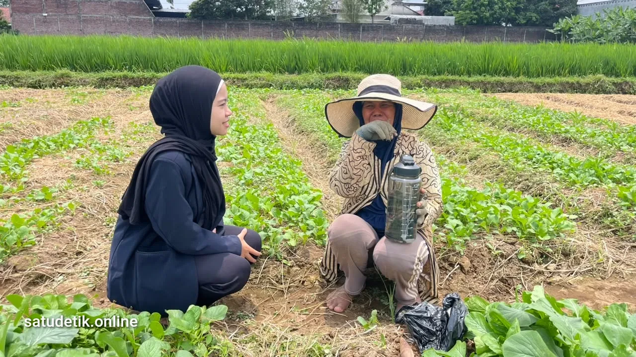 Cegah Dehidrasi Petani saat di Sawah, Tim Peneliti Universitas Jember Gelar AgroHydrate Care di Kebonagung