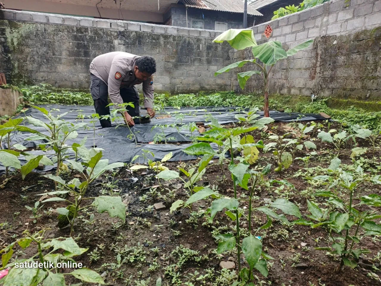 Polsek Gucialit: dari Jaga Kamtibmas hingga Dampingi Petani