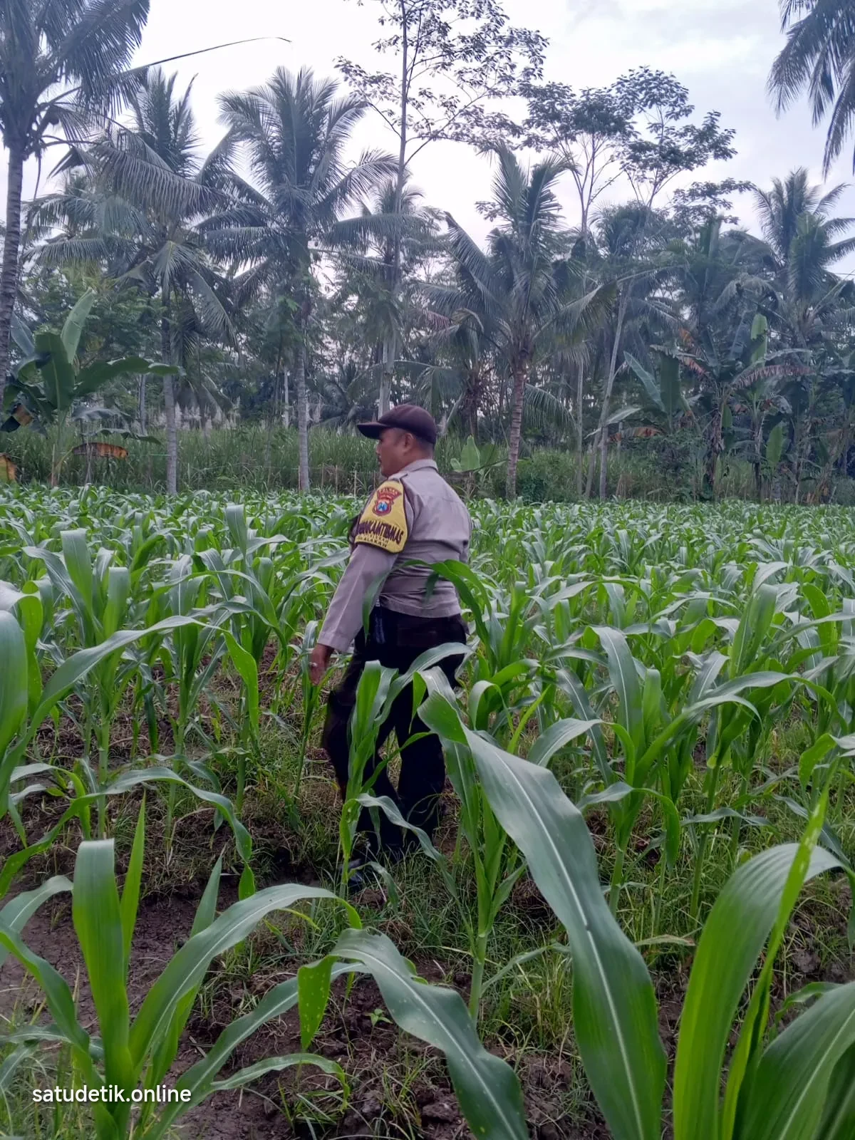 Ketahanan Pangan Jadi Prioritas, Polsek Klakah Pantau Kesiapan Lahan Jagung Warga