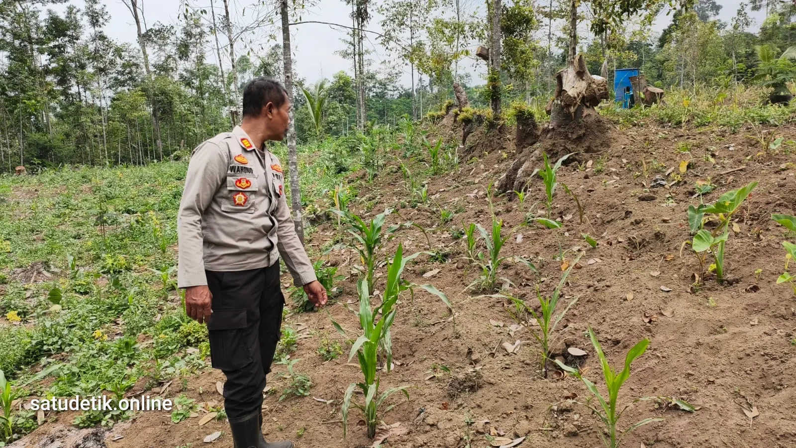 Cegah Gagal Panen di Lereng Semeru, Polsek Senduro Soroti Irigasi dan Distribusi Pupuk