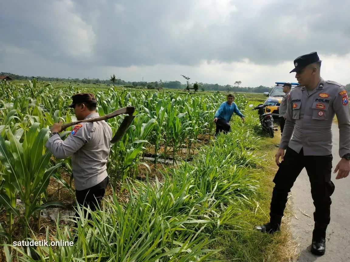 Polsek Tempeh Turun ke Sawah, Serap Aspirasi Petani Antisipasi El Nino  