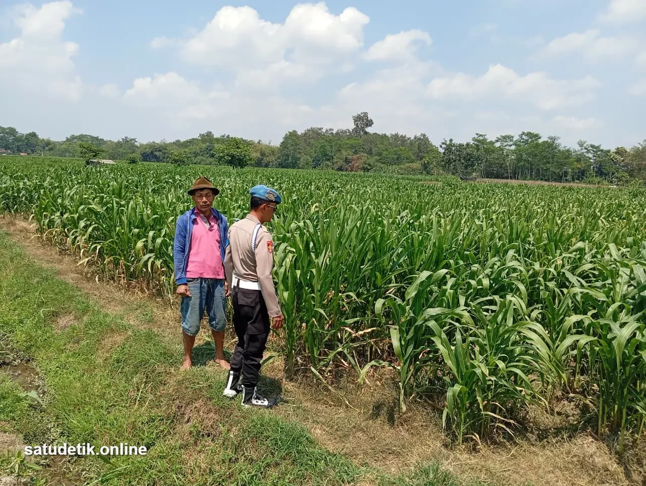 Polisi Sambangi Petani Jagung di Kebonsari, Serap Keluhan Soal Pupuk dan Sarana Pertanian