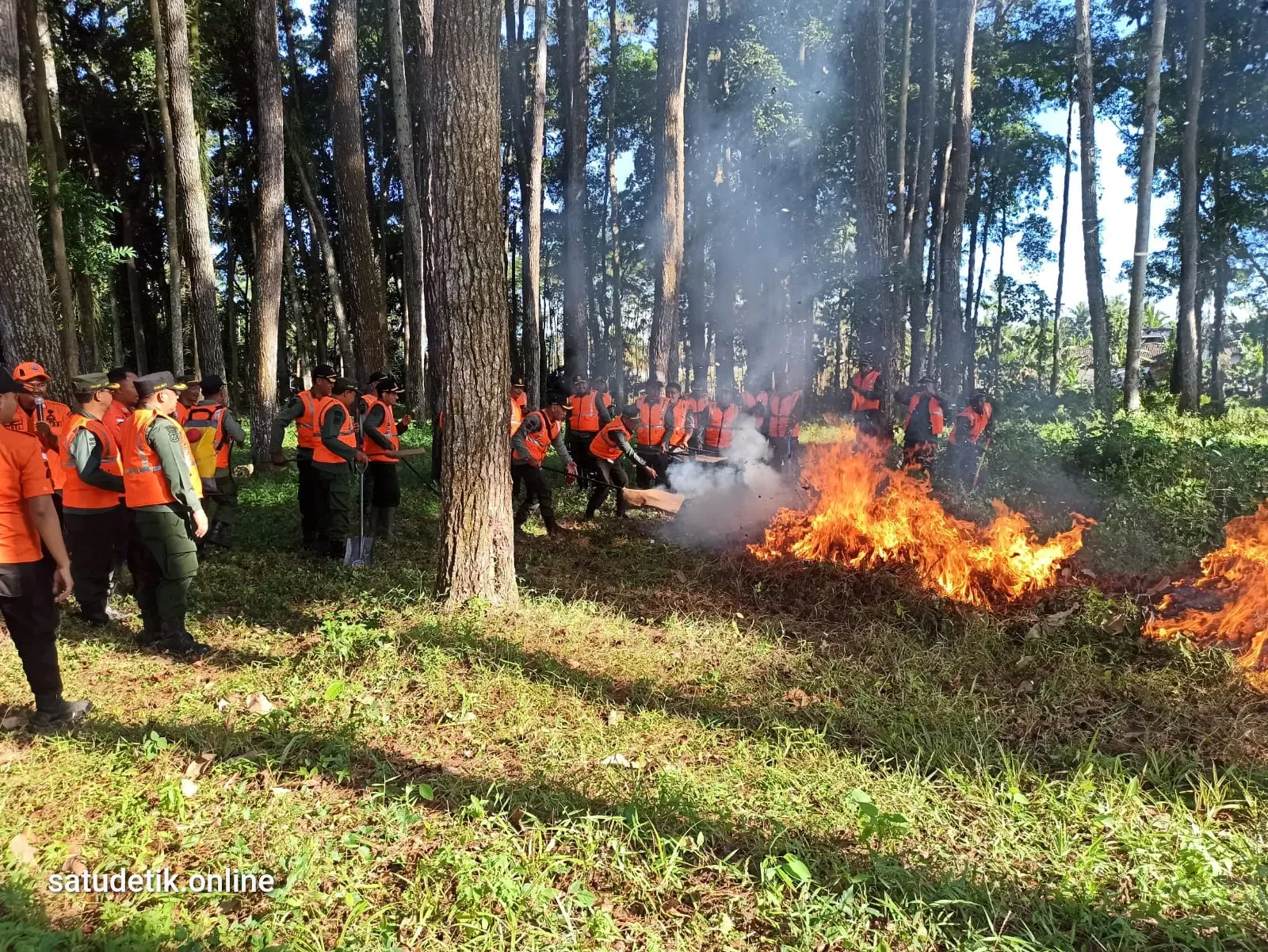 Siaga Penuh! Dalkarhut KPH Probolinggo Latih Pasukan Hadapi Kobaran Api Musim Kemarau