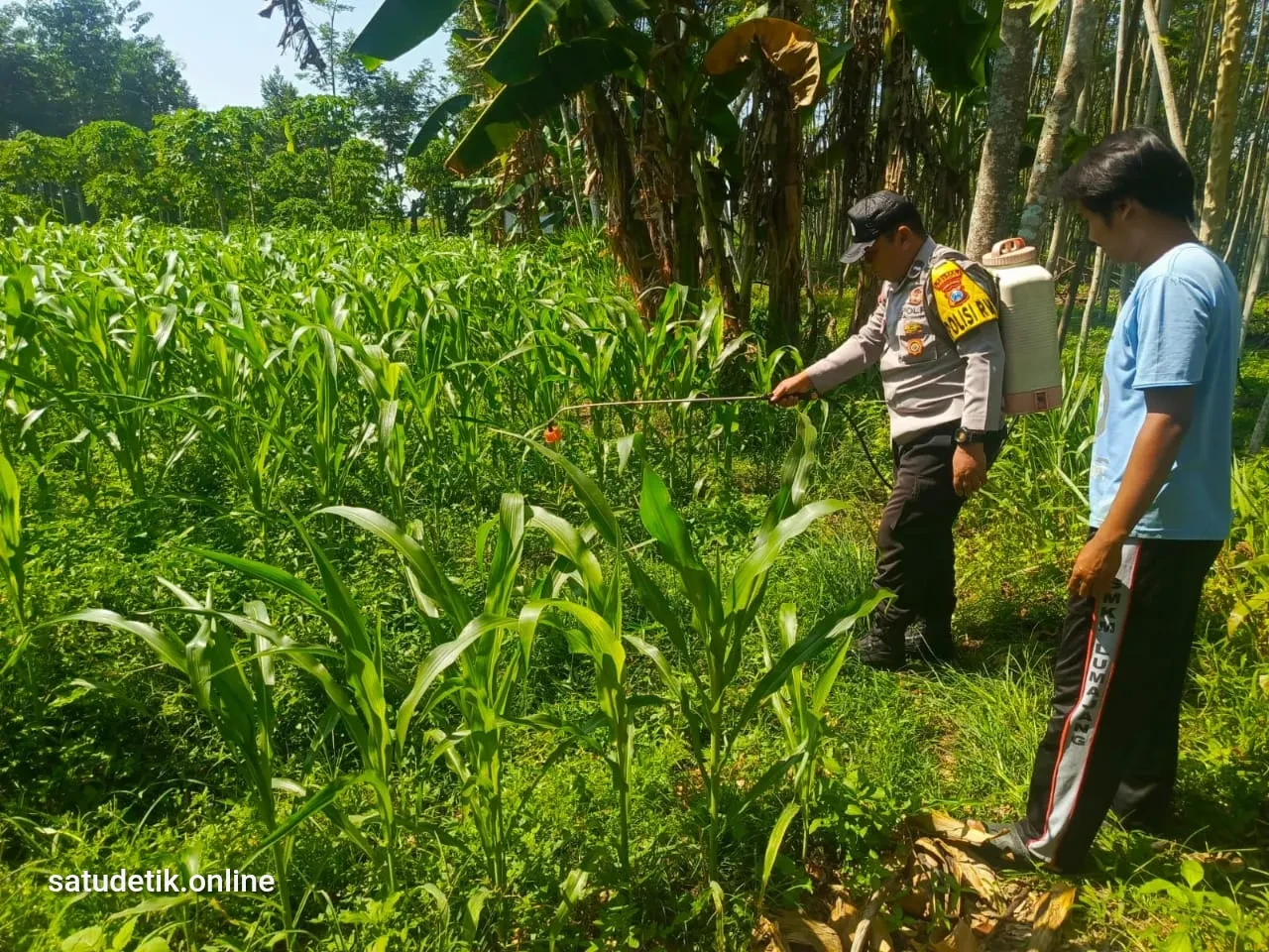Dari Desa untuk Pangan Nasional: Polsek Tempeh Serap Aspirasi Petani
