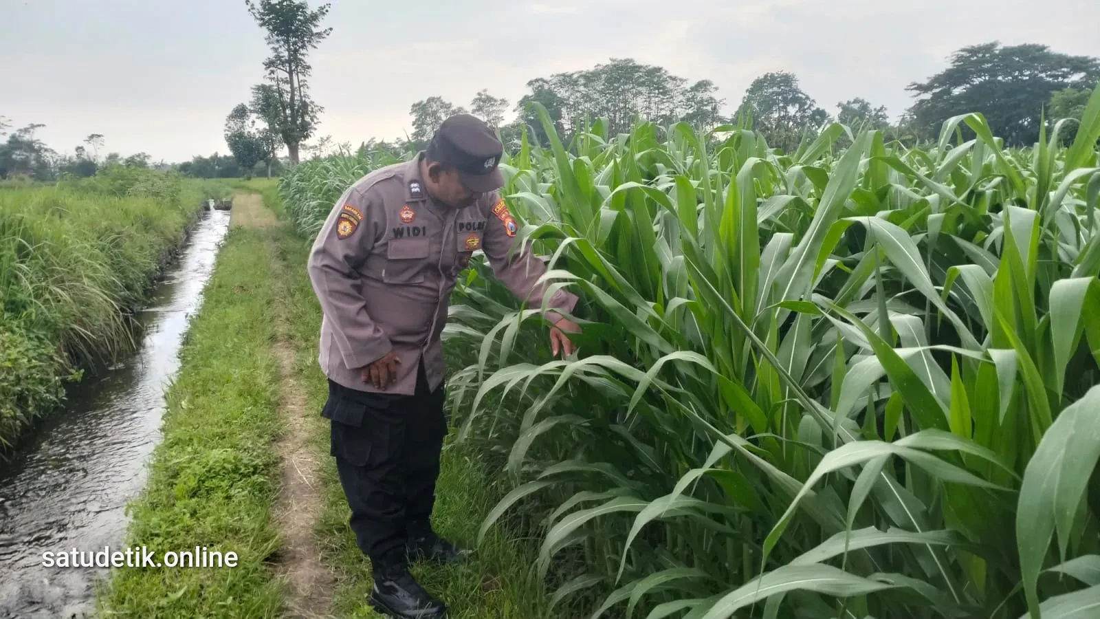 Polsek Pasirian Lumajang Perkuat Ketahanan Pangan Bersama Petani